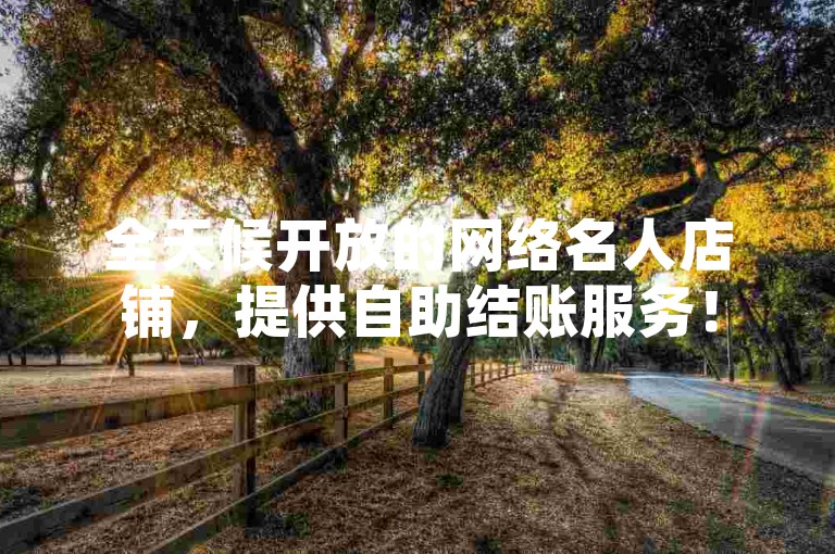 全天候开放的网络名人店铺，提供自助结账服务！