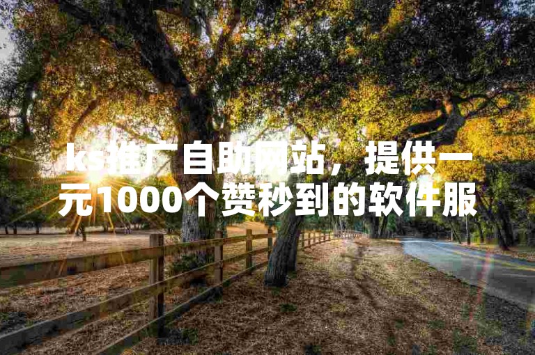 ks推广自助网站，提供一元1000个赞秒到的软件服务。