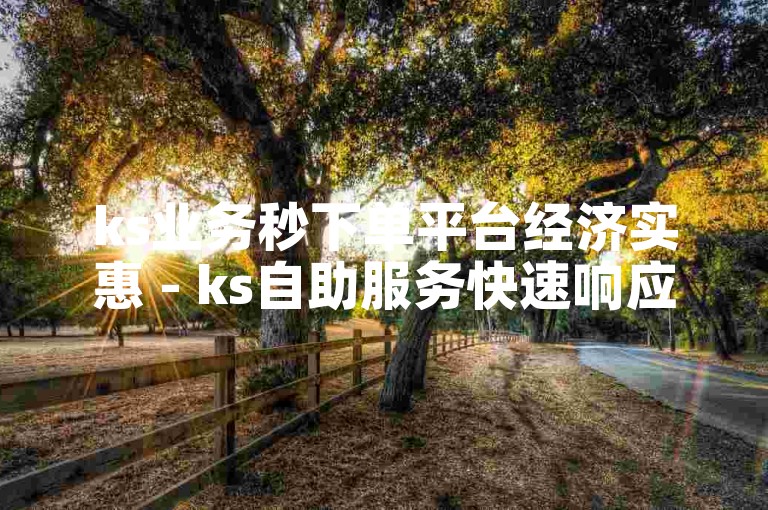 ks业务秒下单平台经济实惠 - ks自助服务快速响应