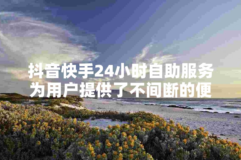抖音快手24小时自助服务为用户提供了不间断的便捷体验，极大地提升了用户满意度。