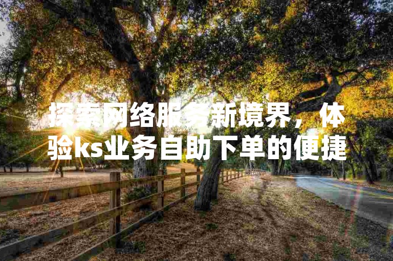探索网络服务新境界，体验ks业务自助下单的便捷与高效，微信dy超低价平台，10赞轻松获取。