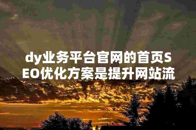 dy业务平台官网的首页SEO优化方案是提升网站流量的关键策略。
