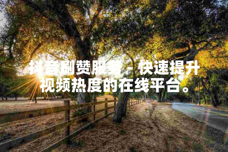 抖音刷赞服务 - 快速提升视频热度的在线平台。