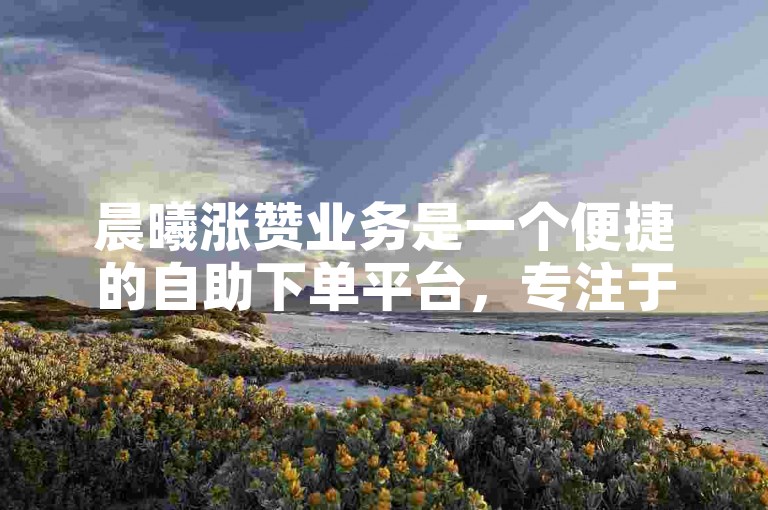 晨曦涨赞业务是一个便捷的自助下单平台，专注于提升您的社交媒体影响力。