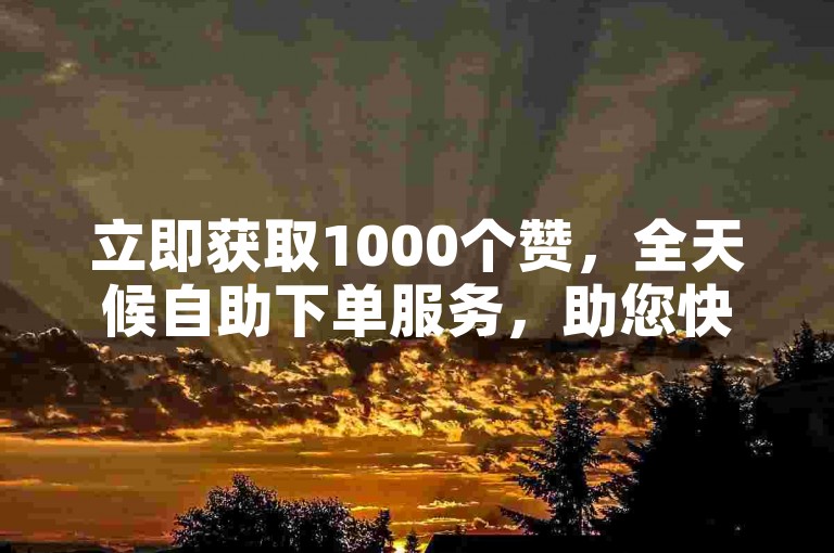 立即获取1000个赞，全天候自助下单服务，助您快速涨粉！