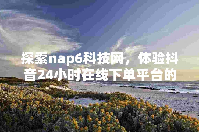 探索nap6科技网，体验抖音24小时在线下单平台的便捷服务，专为抖音粉丝打造的网红商城软件。