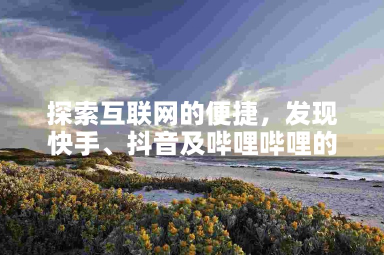 探索互联网的便捷，发现快手、抖音及哔哩哔哩的业务自助下单服务，享受全网最优惠的价格。