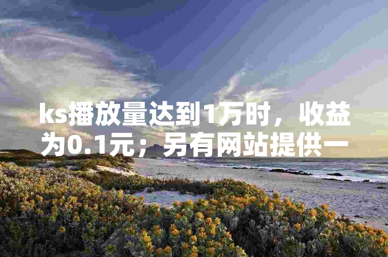 ks播放量达到1万时，收益为0.1元；另有网站提供一万赞服务。