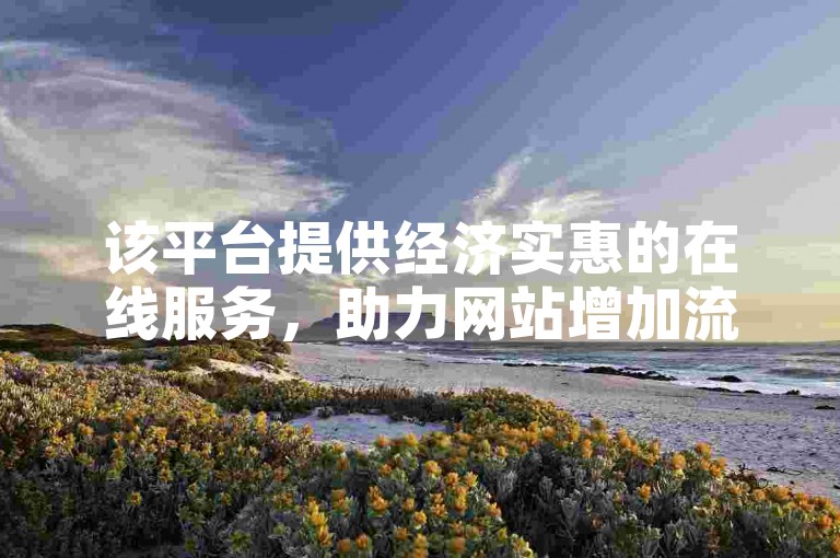 该平台提供经济实惠的在线服务，助力网站增加流量。