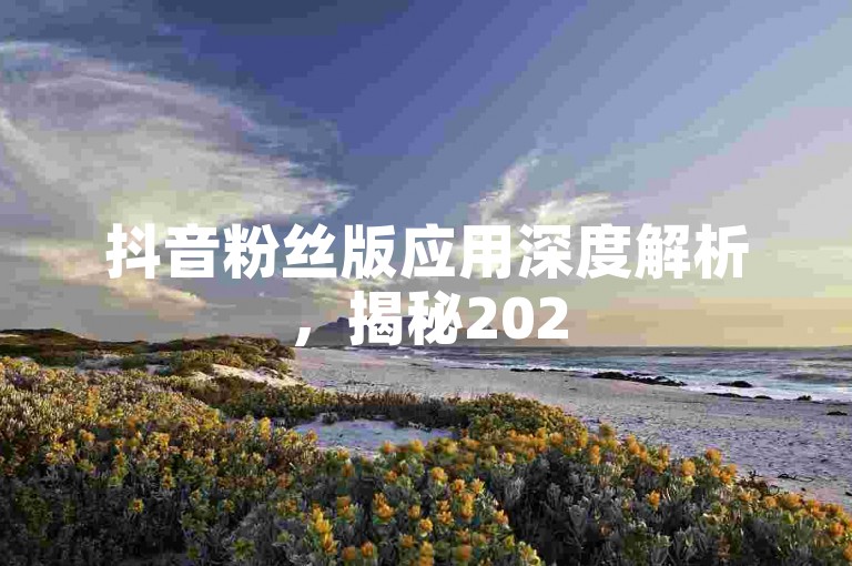 抖音粉丝版应用深度解析，揭秘2025年必备的专属功能！
