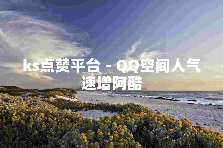 ks点赞平台 - QQ空间人气速增阿酷