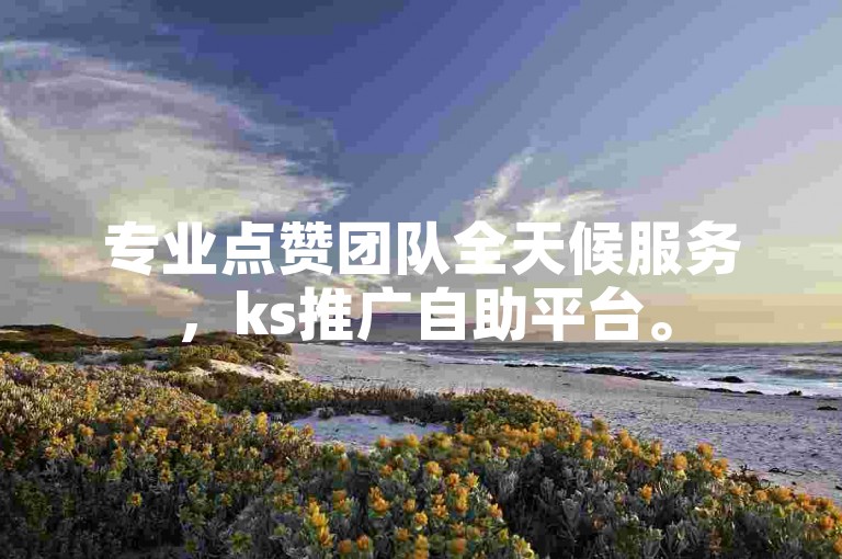专业点赞团队全天候服务，ks推广自助平台。