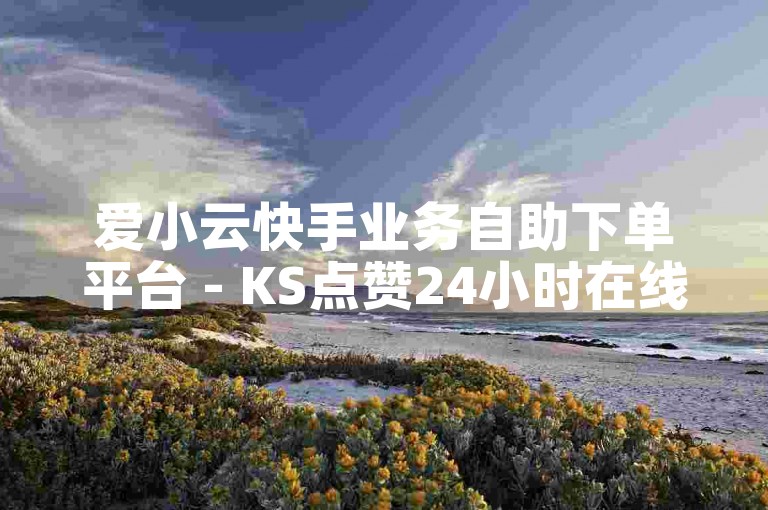 爱小云快手业务自助下单平台 - KS点赞24小时在线服务全网。