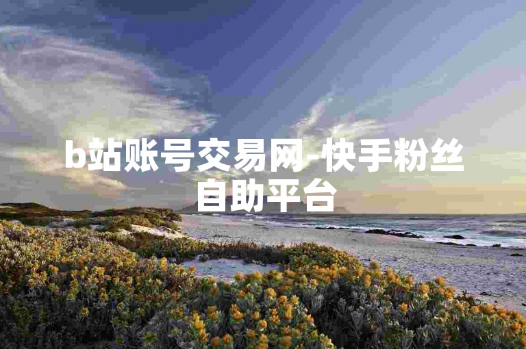 b站账号交易网-快手粉丝自助平台