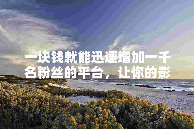 一块钱就能迅速增加一千名粉丝的平台，让你的影响力瞬间飙升。