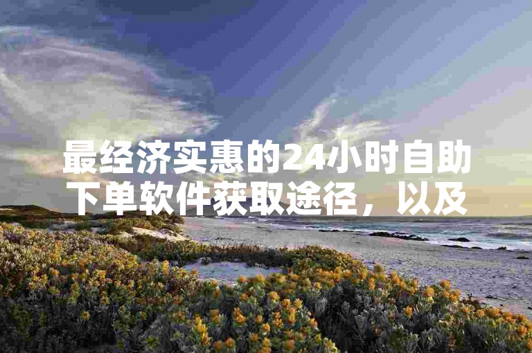 最经济实惠的24小时自助下单软件获取途径，以及抖音平台上1粉丝对应的人民币价值是多少。