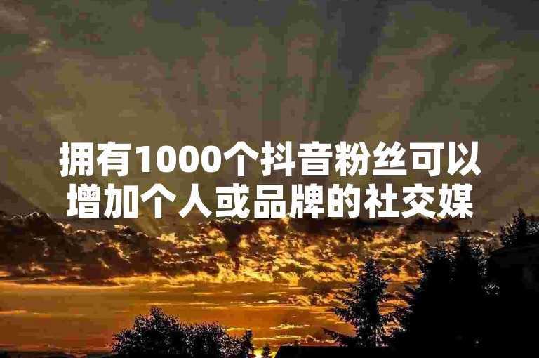拥有1000个抖音粉丝可以增加个人或品牌的社交媒体影响力，而快手官方充值快币则可用于购买虚拟礼物，支持喜欢的创作者。