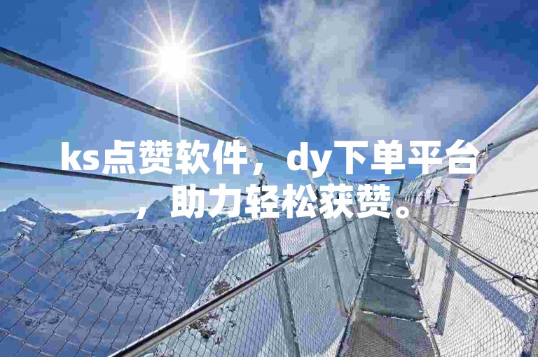 ks点赞软件，dy下单平台，助力轻松获赞。