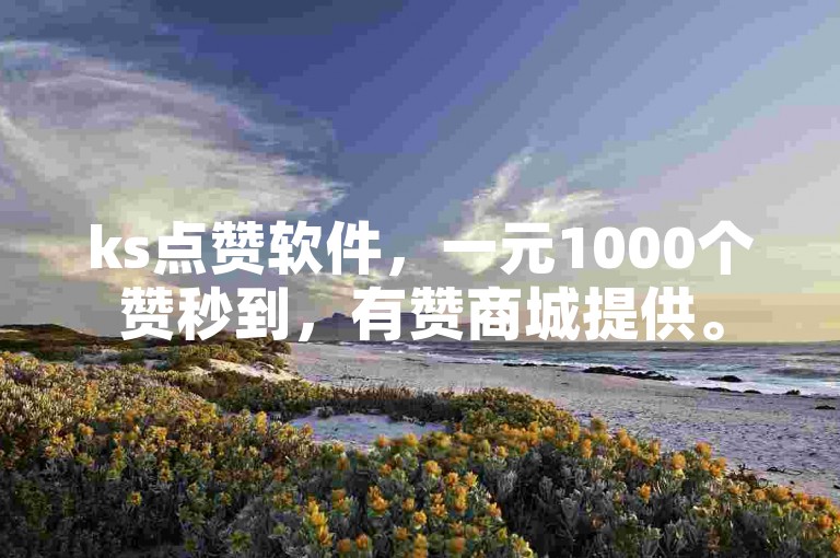 ks点赞软件，一元1000个赞秒到，有赞商城提供。