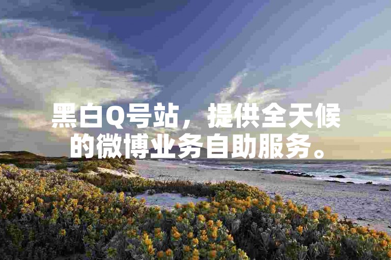 黑白Q号站，提供全天候的微博业务自助服务。