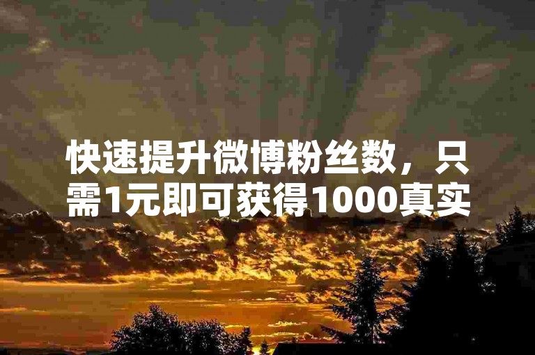 快速提升微博粉丝数，只需1元即可获得1000真实关注者 - 网络推广专家推荐。