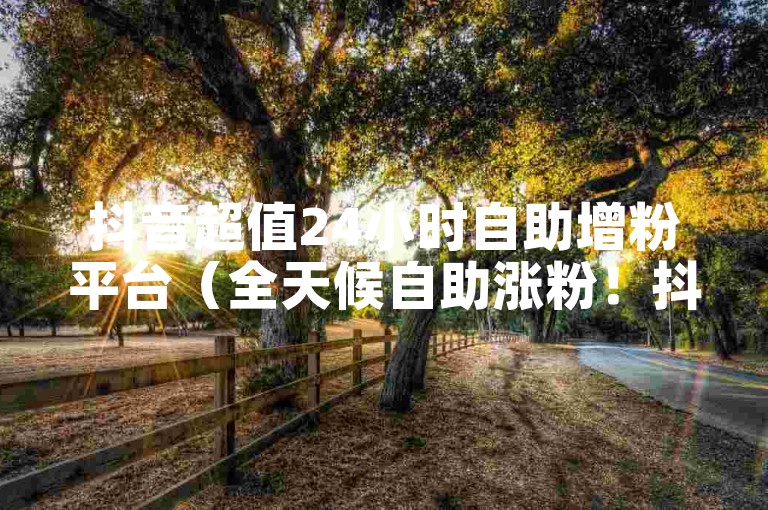 抖音超值24小时自助增粉平台（全天候自助涨粉！抖音经济实惠服务）