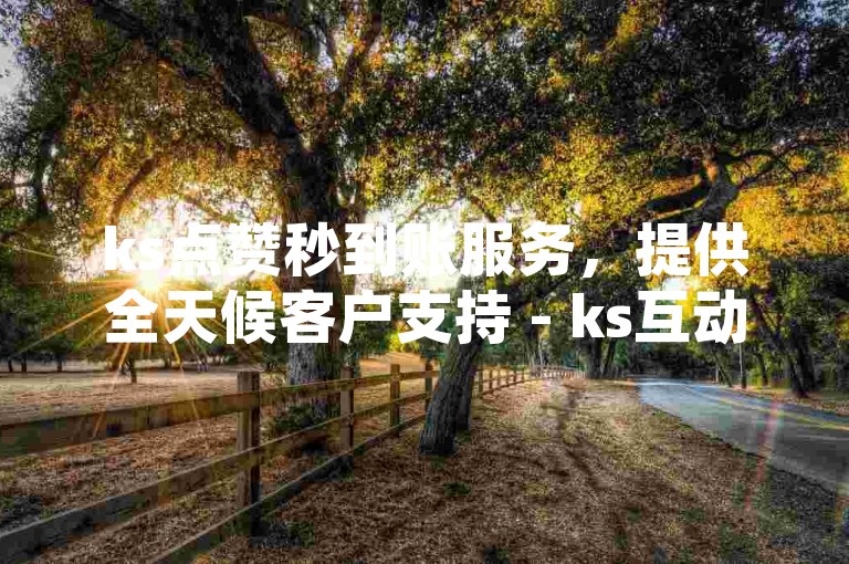 ks点赞秒到账服务，提供全天候客户支持 - ks互动量增值服务，市场领先价格优势。