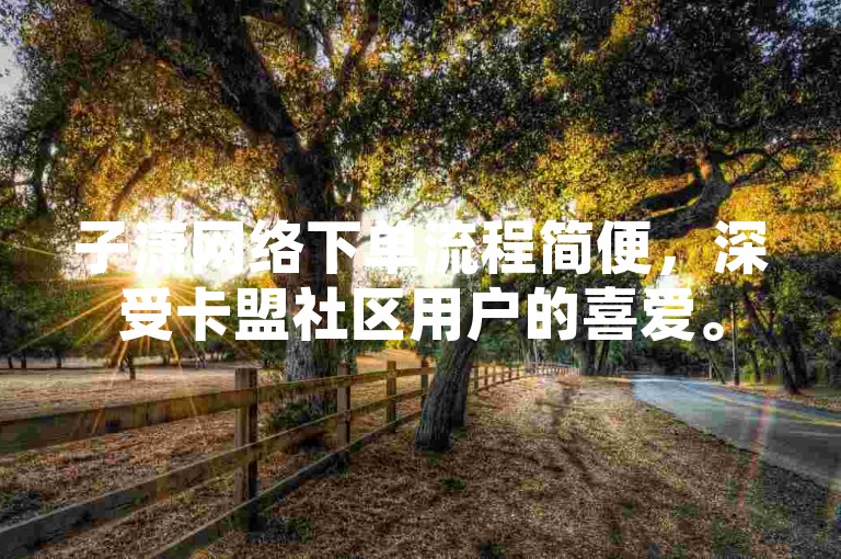 子潇网络下单流程简便，深受卡盟社区用户的喜爱。