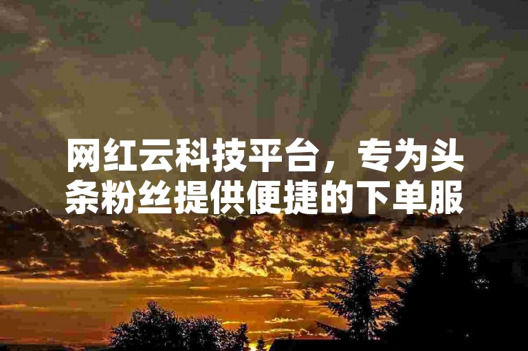 网红云科技平台，专为头条粉丝提供便捷的下单服务。