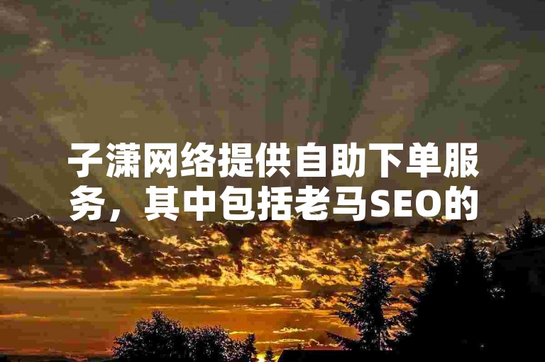 子潇网络提供自助下单服务，其中包括老马SEO的优化项目。