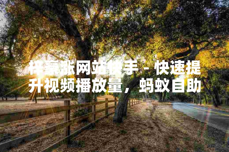 梓豪涨网站快手 - 快速提升视频播放量，蚂蚁自助下单更便捷。