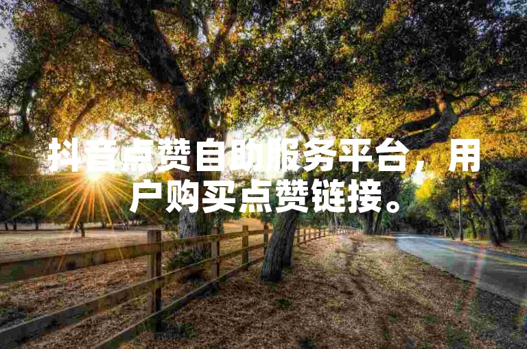 抖音点赞自助服务平台，用户购买点赞链接。