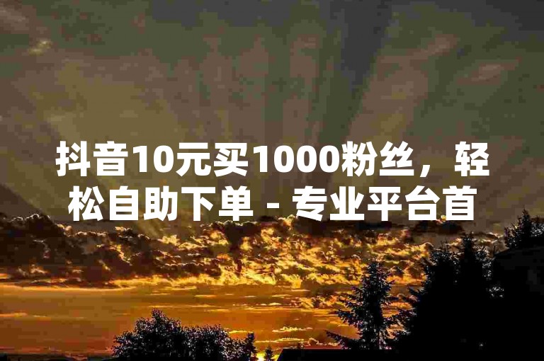 抖音10元买1000粉丝，轻松自助下单 - 专业平台首选 - 卡盟网 - dy24小时免费下单平台，价格优惠惊喜连连。