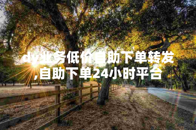 dy业务低价自助下单转发,自助下单24小时平台
