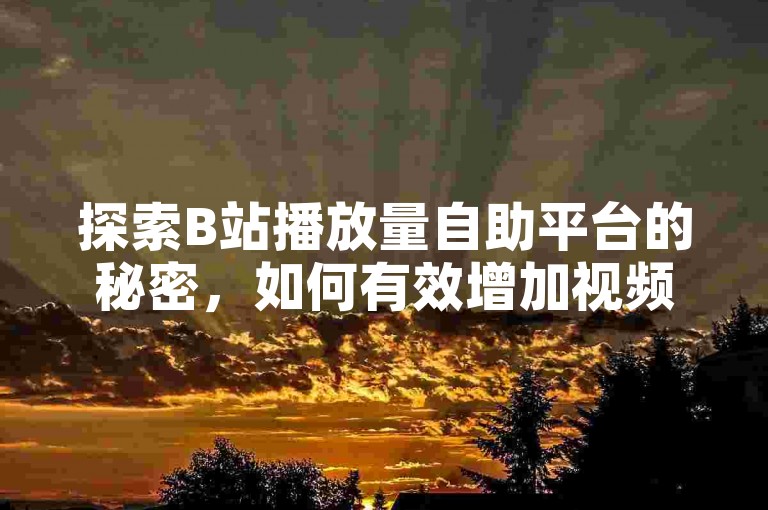 探索B站播放量自助平台的秘密，如何有效增加视频播放量，让作品轻松获得更多曝光和流量！2025年必备技能。