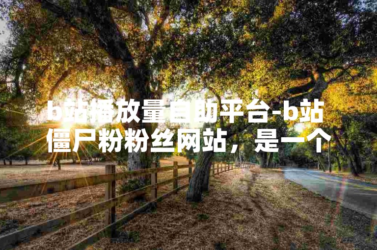 b站播放量自助平台-b站 僵尸粉粉丝网站，是一个专门为B站用户提供播放量和粉丝增长服务的平台。