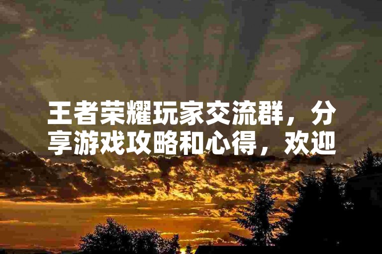 王者荣耀玩家交流群，分享游戏攻略和心得，欢迎加入。
