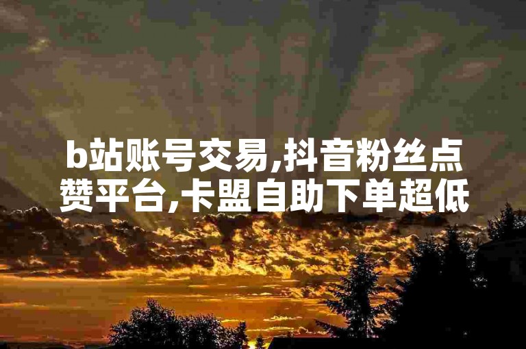 b站账号交易,抖音粉丝点赞平台,卡盟自助下单超低价 - b站1000粉丝购买服务