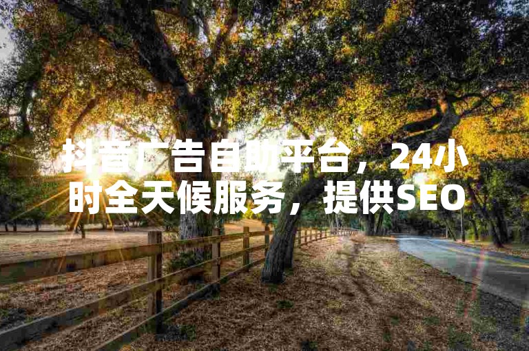 抖音广告自助平台，24小时全天候服务，提供SEO优化支持。