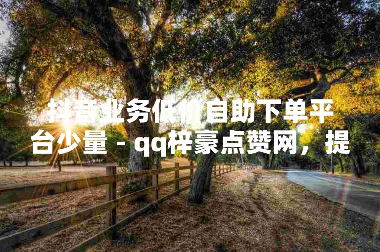抖音业务低价自助下单平台少量 - qq梓豪点赞网，提供便捷的服务体验。