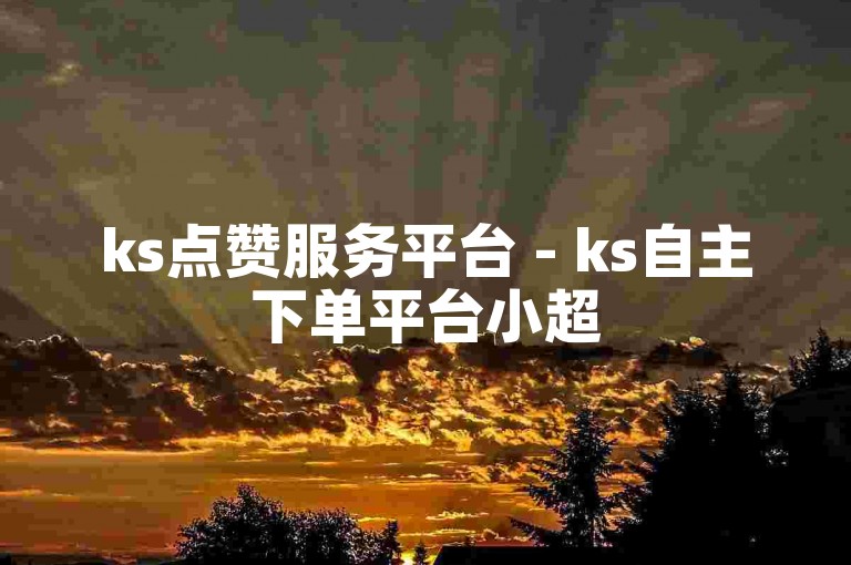 ks点赞服务平台 - ks自主下单平台小超