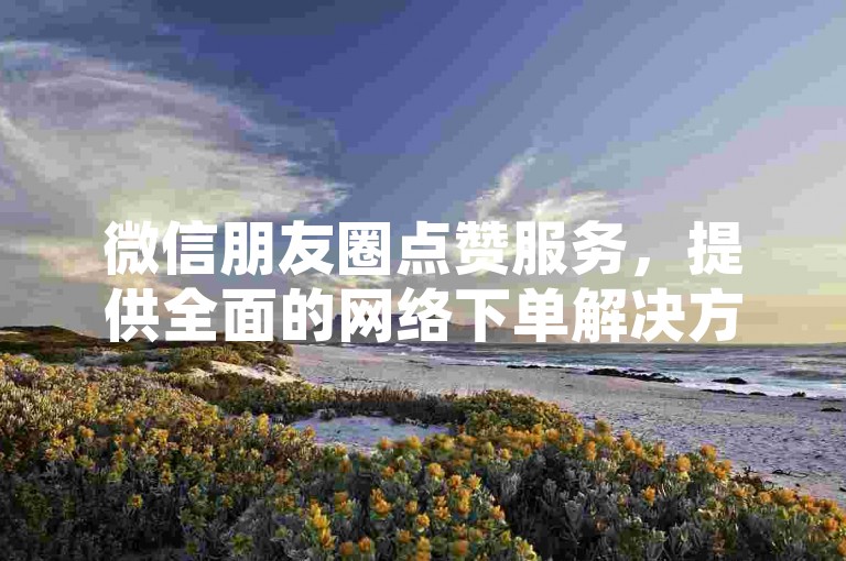 微信朋友圈点赞服务，提供全面的网络下单解决方案。