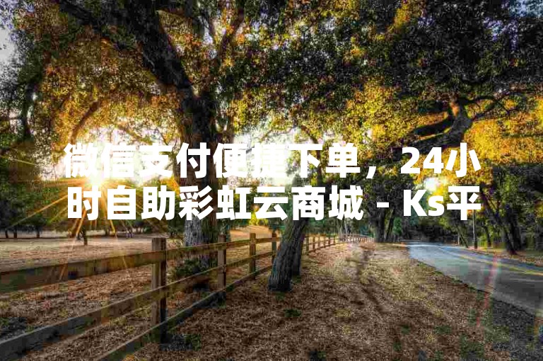 微信支付便捷下单，24小时自助彩虹云商城 - Ks平台 - KS业务下单平台惊喜连连。