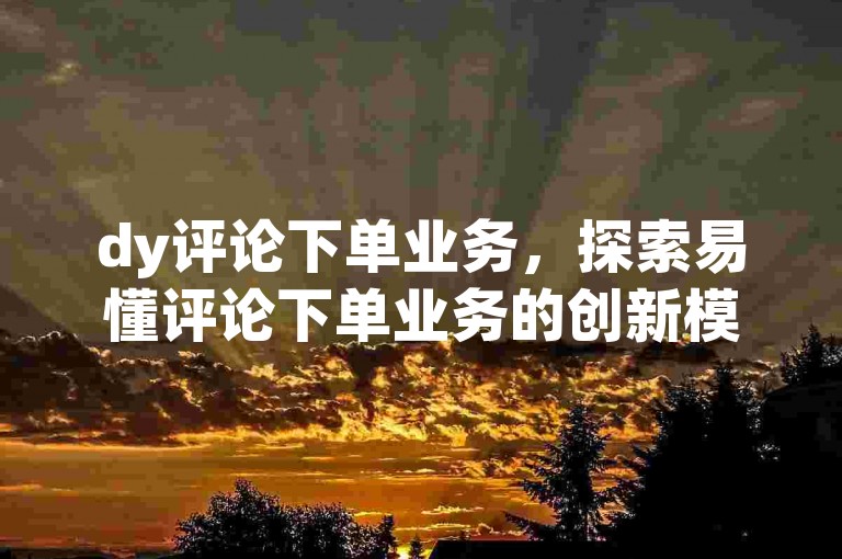 dy评论下单业务，探索易懂评论下单业务的创新模式。