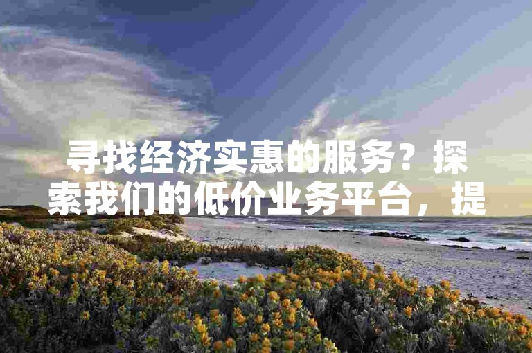 寻找经济实惠的服务？探索我们的低价业务平台，提供最佳性价比的在线交易体验。