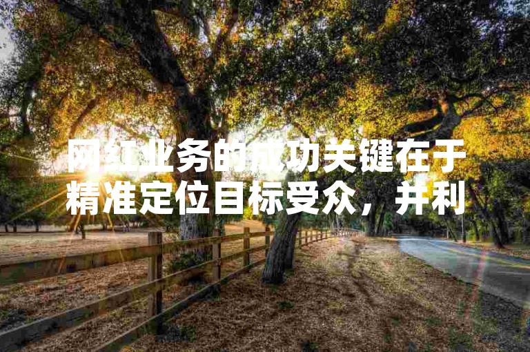 网红业务的成功关键在于精准定位目标受众，并利用创意内容与互动策略来增强用户参与度，从而提高品牌的可见性和市场影响力。