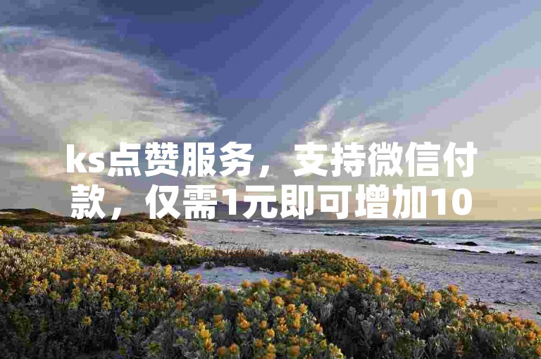 ks点赞服务，支持微信付款，仅需1元即可增加1000个粉丝。
