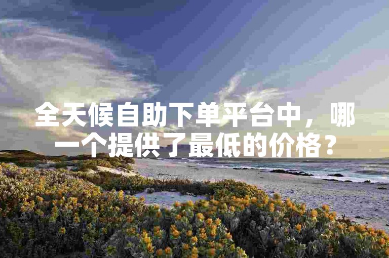 全天候自助下单平台中，哪一个提供了最低的价格？