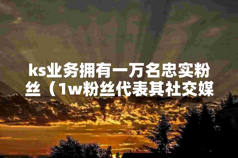 ks业务拥有一万名忠实粉丝（1w粉丝代表其社交媒体账号有一万关注者）。