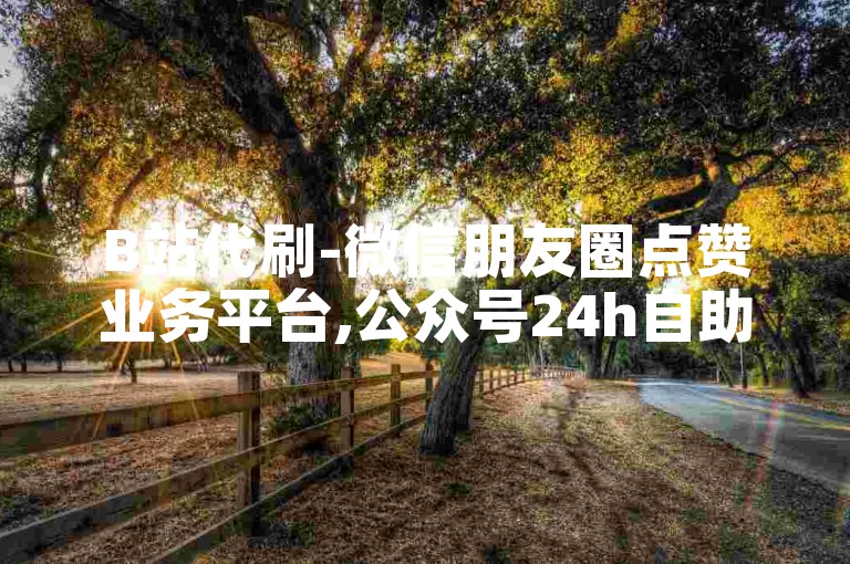 B站代刷-微信朋友圈点赞业务平台,公众号24h自助下单商城。